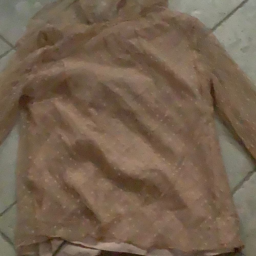 J. Crew Sheer Ruffled Party Blouse - Picture 2 of 2